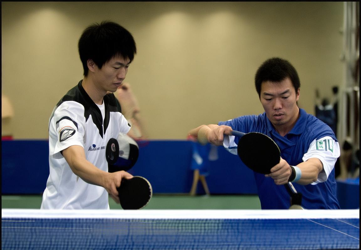 2010年王皓王励勤巅峰对决：乒乓球史上的经典之战回顾(图2)